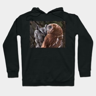 Screetch Owl Love Birds Hoodie